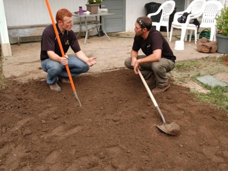 removing old landscape