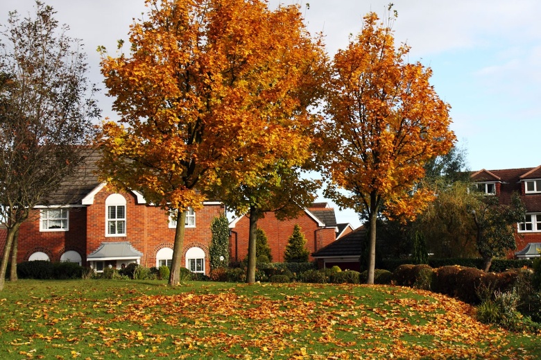 brick home in the fall