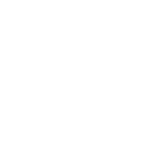 Building Icon
