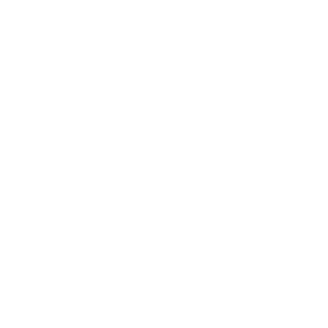 House Icon